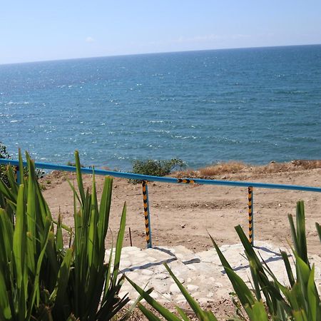 Summer Dream Cyprus Maroni Екстер'єр фото