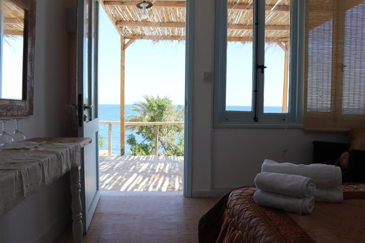 Summer Dream Cyprus Maroni Екстер'єр фото