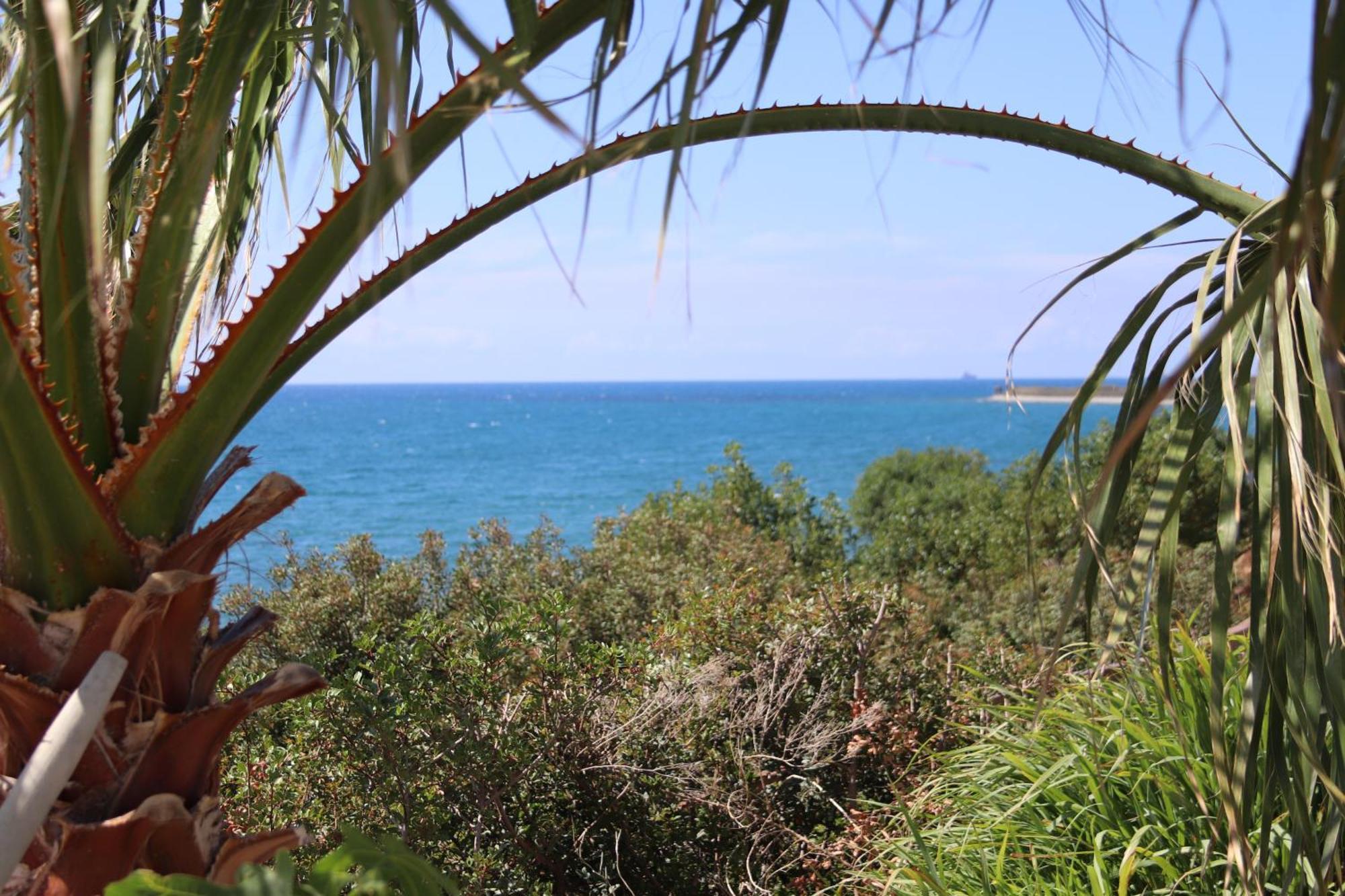 Summer Dream Cyprus Maroni Екстер'єр фото